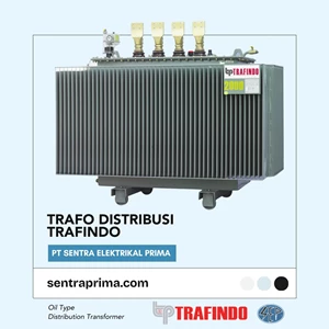 TRAFINDO Distribution Transformer (Oil-Immersed Distribution Transformer) 800 kVA 20 kV ONANConservator Type Dyn5 / Dyn11 PLN ISO Standard