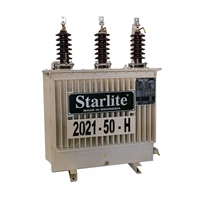 distribution transformer Starlite 25 kva - 6300 kva